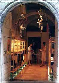 Artisanal Shop Pznas